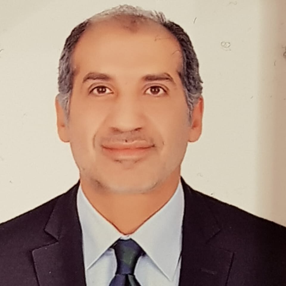 dr ibrahim el ganzory
